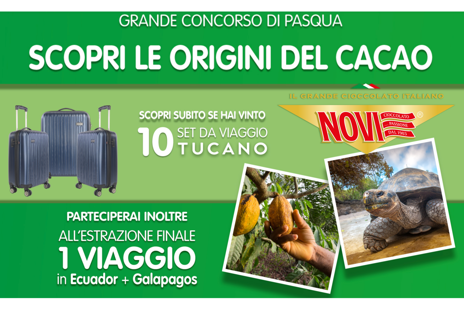 Risparmio assicurato 9