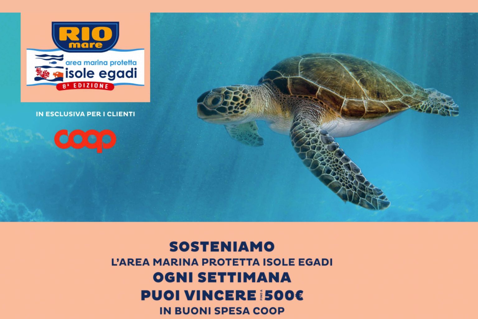 Risparmio assicurato 92