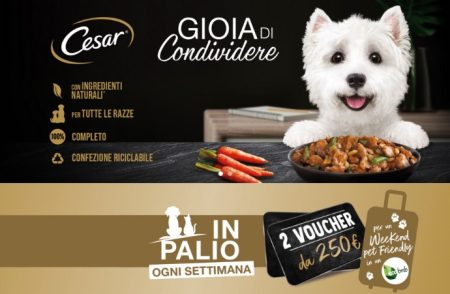 Concorso Cesar e Sheba 2023: come vincere 1 voucher Ecobnb da 250€